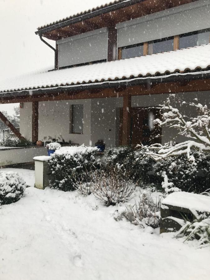 Haus Greti Apartman Magre all' Adige Kültér fotó